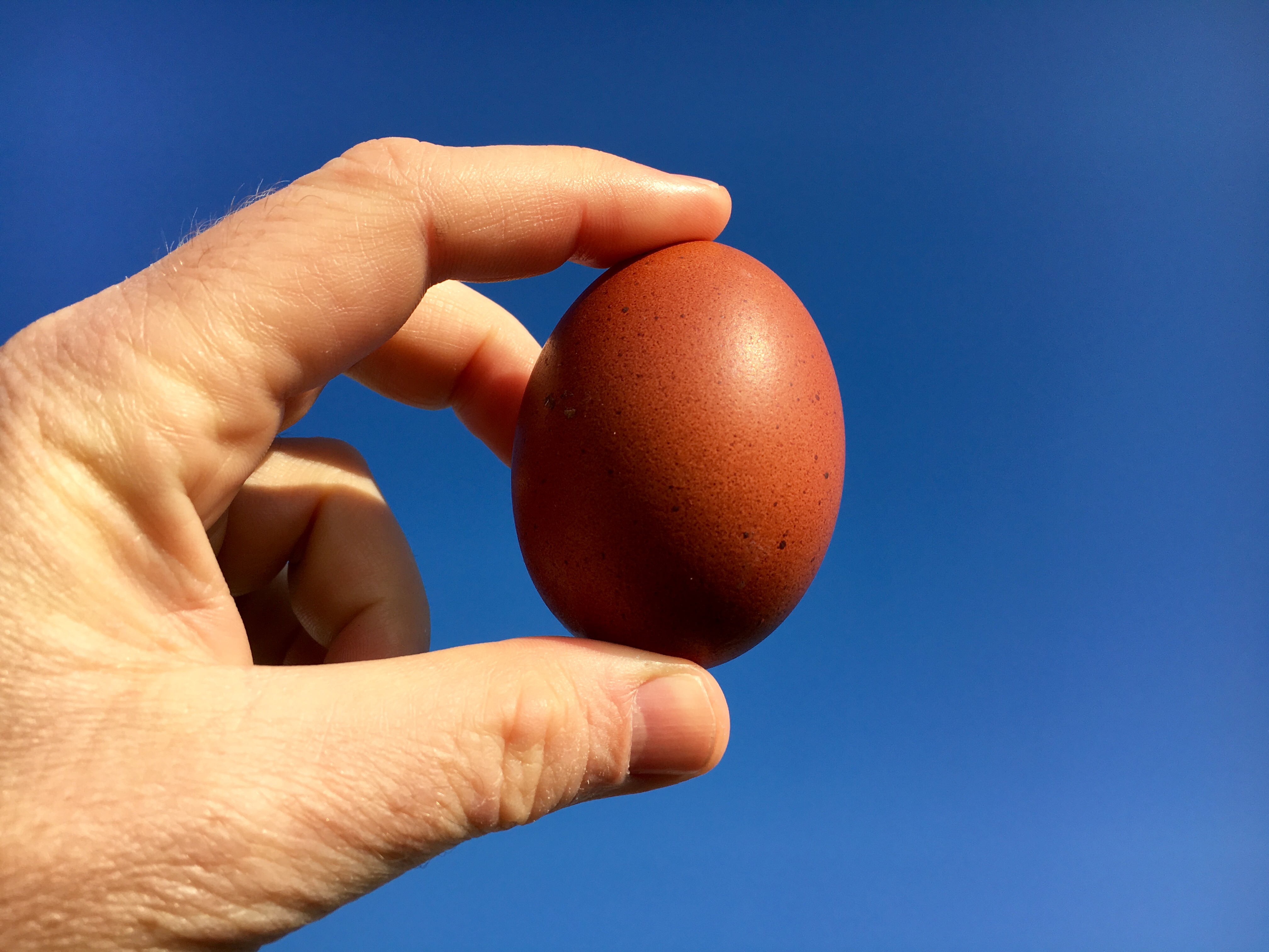 0CB78857-0EEF-4CD2-931F-1480D9041AAF