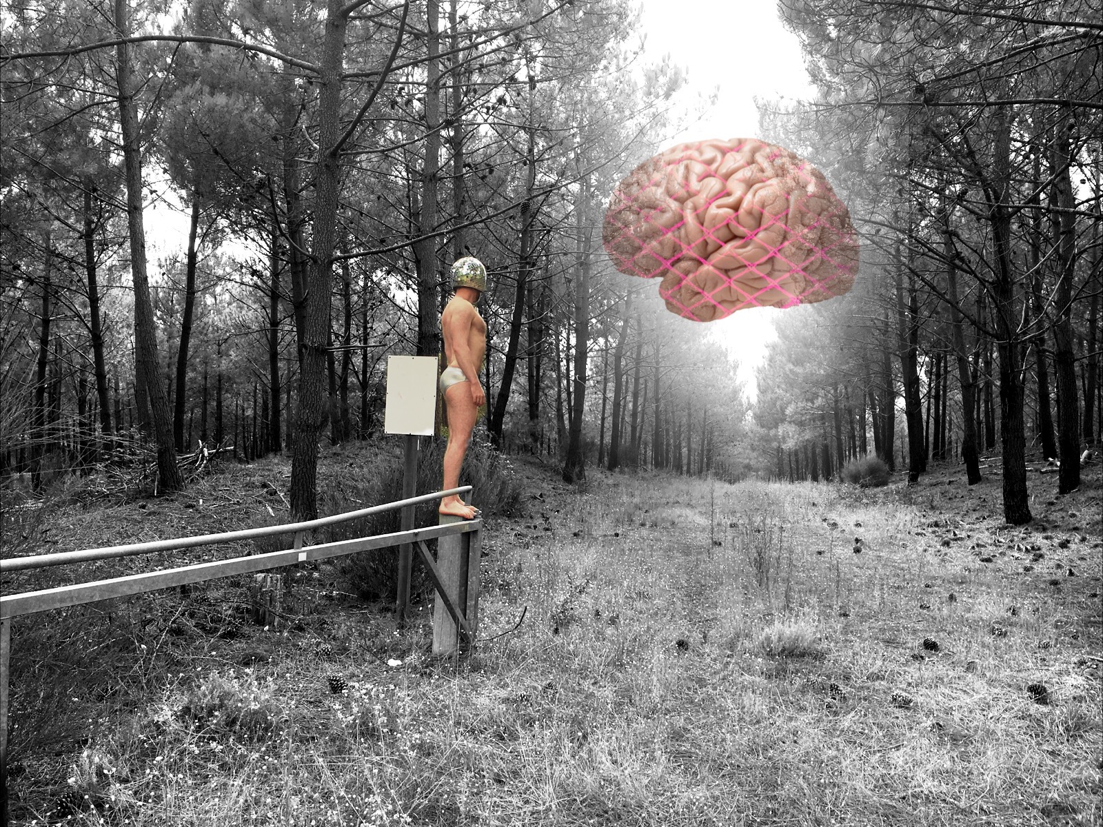 66B2F34B-923F-4152-B010-13FA9196923E