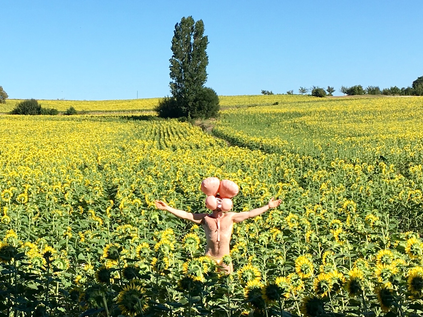 AF49C1F3-26E2-4856-88E8-8FFF3F7000B8